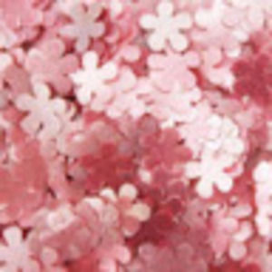 Meet your Posher, Evelyn